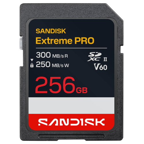 SanDisk SDSDXEM-256G-GN4IN